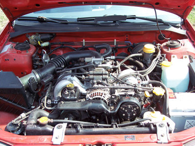 Picture 65.jpg