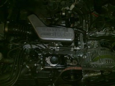 31032010010.jpg