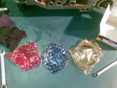 Nippon-Piston-Rings-Dani.JPG