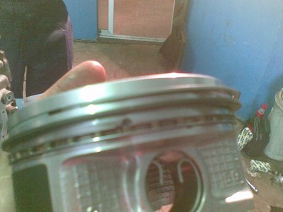 Pistons-Toyonisa-with-rings-Dani.JPG