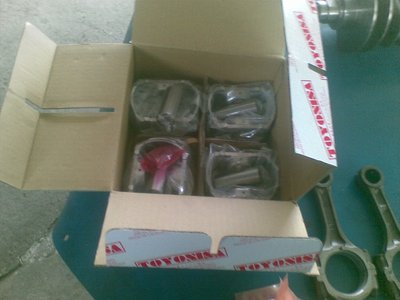 Pistons-Toyonisa-Japan-Dani.JPG