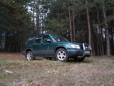 PICT8285-2.jpg