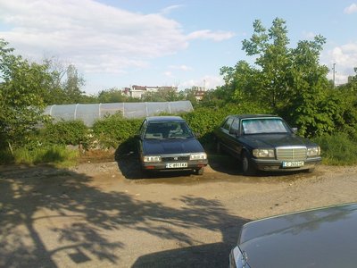 DSC00529.jpg