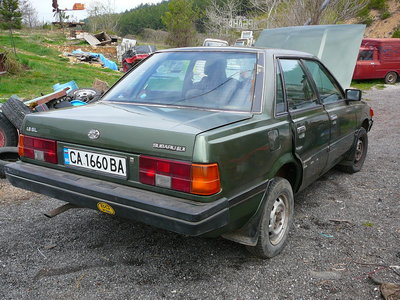 P1040963_800x600.JPG