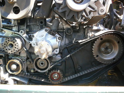 P1040972_800x600.jpg
