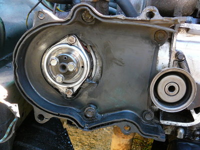 P1040970_800x600.jpg