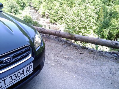 IMAG08691.jpg