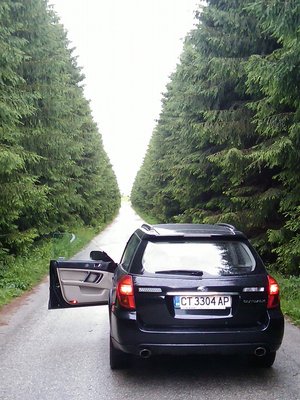 IMAG09261.jpg
