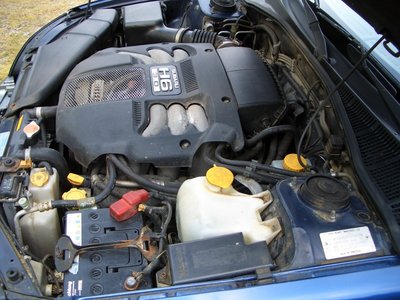 CIMG9366.JPG