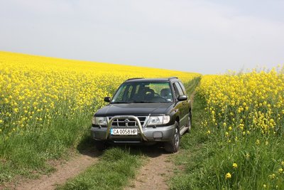 173.jpg