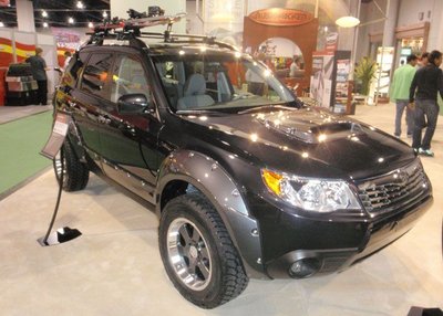 bushwacker-forester.jpg