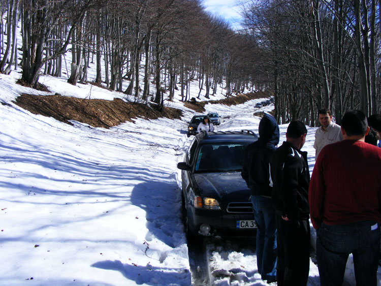 2008_03030025555.jpg