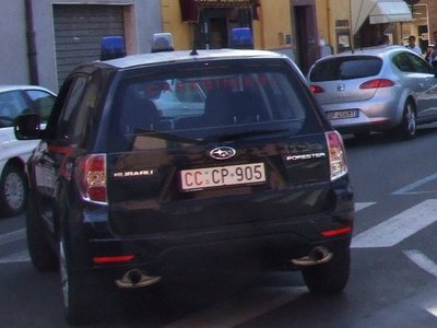 Forester1.jpg