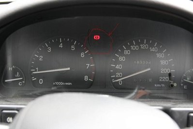 IMG_8731.JPG