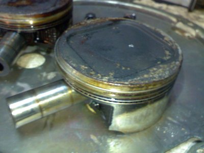 2010-03-23-427.jpg