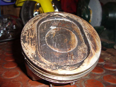 DSC04270.jpg